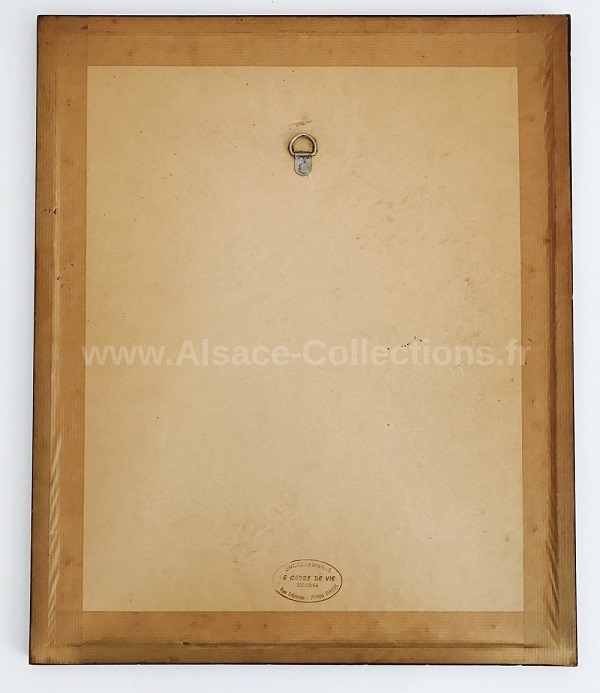 Hansi 276c