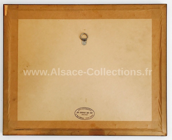 Hansi 284c