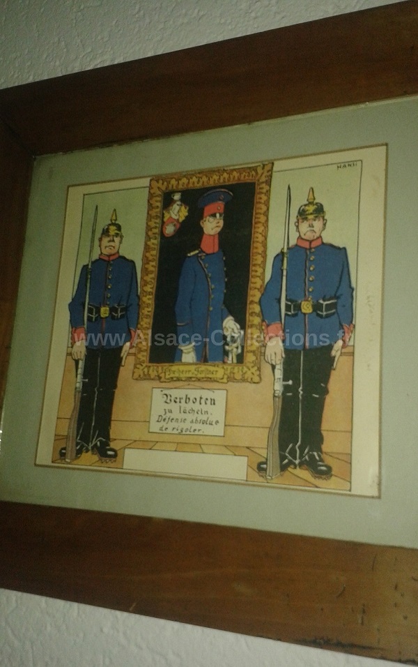 Hansi 304c.jpg