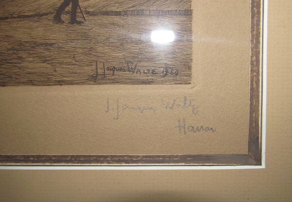 Hansi 77