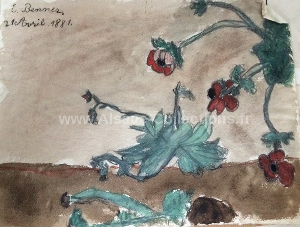 Many Benner 13c.jpeg