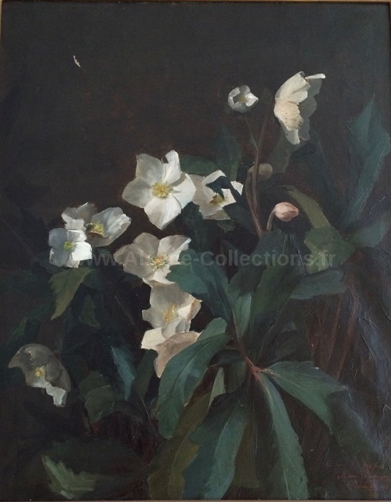 Many Benner 14c.jpeg