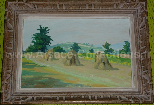 Albert Bayer 116c