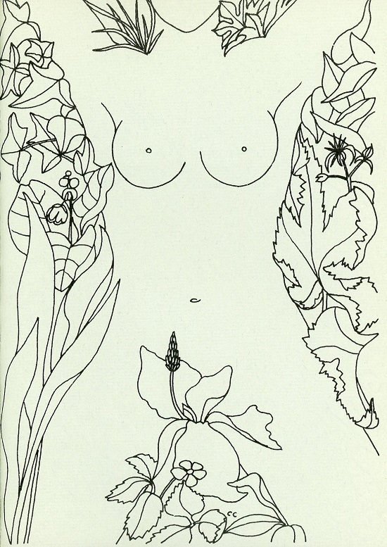 CC117