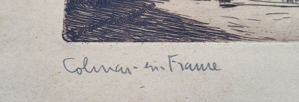 Hansi 895