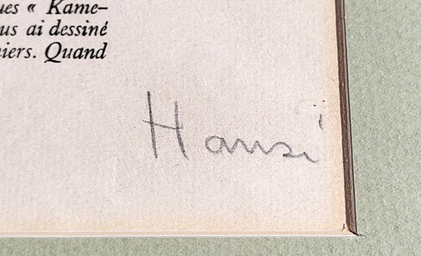 Hansi 905