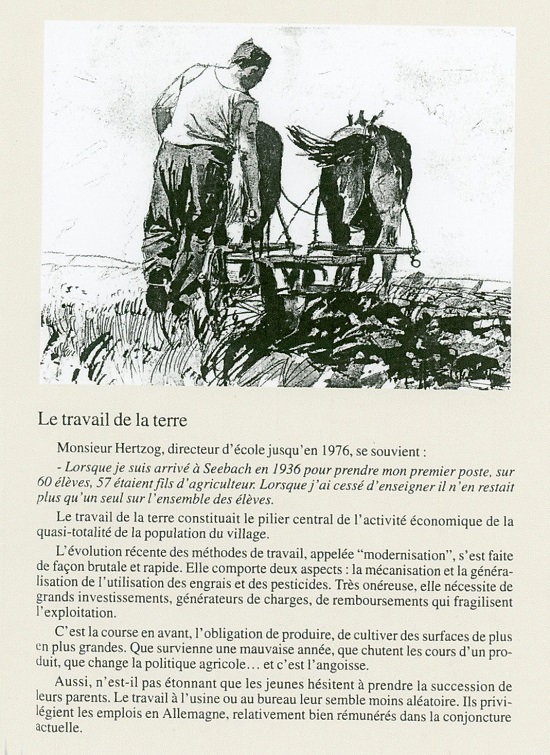 Jean-Paul Ehrismann 14