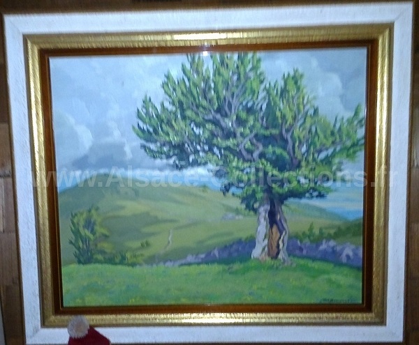 Robert Kammerer 60c